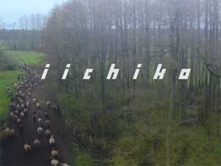 いいちこの最新CM情報をお届けします