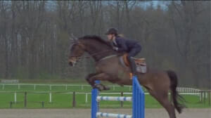 今回のテーマである乗馬のワンカット。騎手は女性