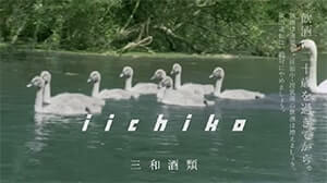 クリケットではなくホッケーをやる人々のシーンも流れるけどキャスト感が強い残念なパターン