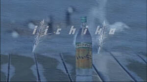 ハドソン川といいちこ