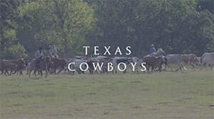 TEXAS COWBOY